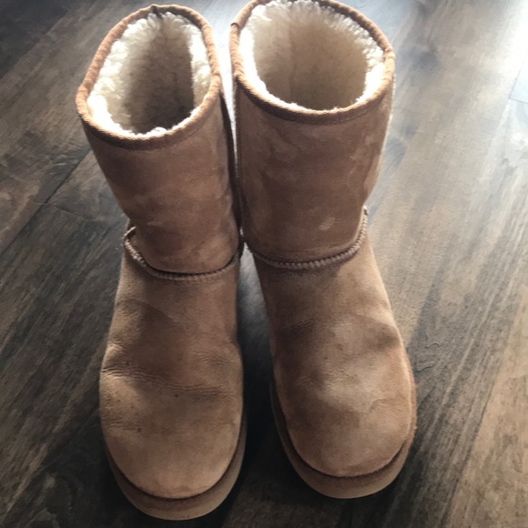 UGG Shoes - UGG AUSTRALIA classic short boot in chestnut color